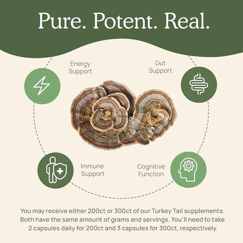 Real Mushrooms - Cápsulas de Cogumelo do Rabo de Peru Orgânico – Suplemento de Cogumelo do Rabo de Peru Potente para Intestino, Energia, Cérebro