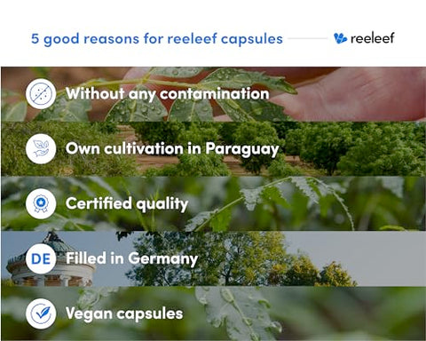 reeleef - Cápsulas de Folha de Neem Puro Herbal – 120 Unidades 500 mg – Pó de Neem Puro Feito com Folhas de Neem Orgânicas Certificadas – Sem Aditivos – Vegano