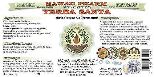 Yerba Santa Extrato Líquido Sem Álcool, Folha Seca de Yerba Santa Glicerito Herbal Natural, Hawaii Pharm, EUA 2×120 ml