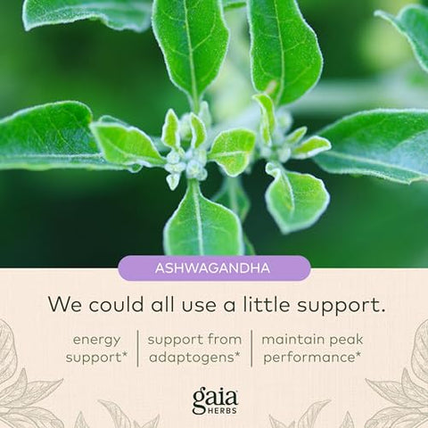 Performance Mushrooms Adaptogen – Potencialize seu Desempenho com Cogumelos – 60 cápsulas - Gaia Herbs