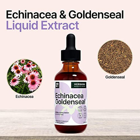 HERBANA MANUFACTURING - Echinacea e Goldenseal Extrato Líquido 60ml – Suplemento Herbal Natural – Suporte Imunológico – Melhora o Sono | Aumenta a Energia – Alta Potência – Fornecimento de 45 Dias