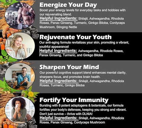 DLNIA - Shilajit Puro do Himalaia 9000MG com Rhodiola Rosea 1000MG, Ashwagandha 2000MG, Ginseng, Gingko Biloba, Cúrcuma, Cogumelo Cordyceps, Urtiga…