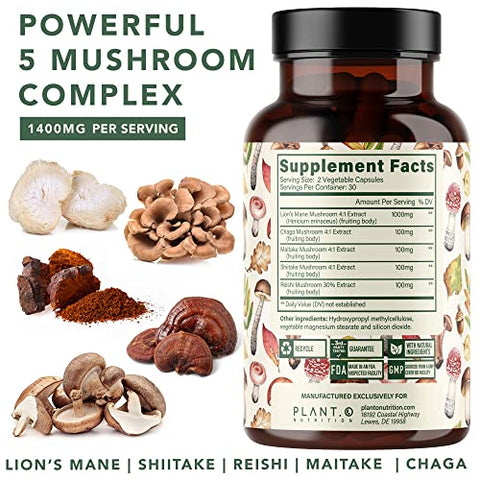 PLANT.O NUTRITION - Plant.O Premium Lion’s Mane – Suplemento Natural para o Cérebro com 5 Cogumelos – Lion’s Mane, Reishi, Chaga, Maitake, Shiitake – Imunidade, Foco, Humor – 60 cápsulas