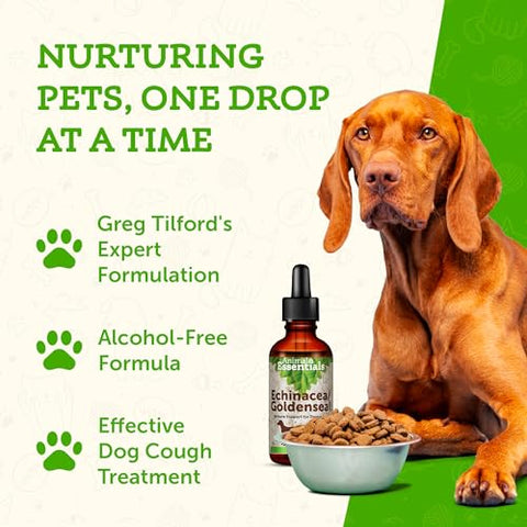 Echinacea Goldenseal – Fórmula Herbal para Cães e Gatos, Suporte Imunológico, Ervas 100% Orgânicas, Recomendado por Veterinários – 30 ml - Animal Essentials