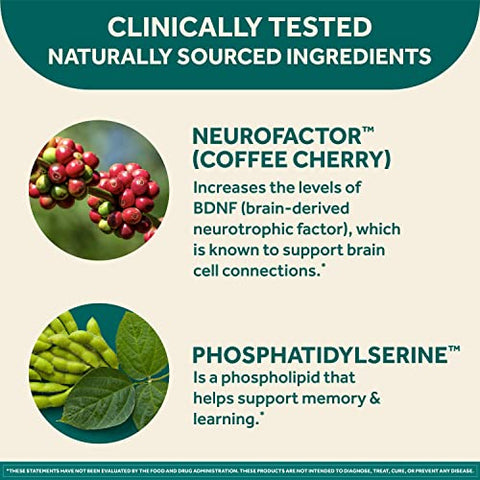 Original Brain Performance – Suplemento para o Desempenho Cerebral (30 Unidades), Fórmula com Ingredientes Naturais Clinicamente Comprovados – Embalagem Dupla - NEURIVA