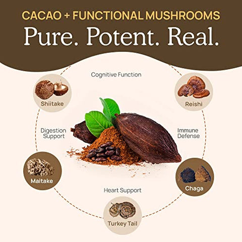 Mix de Chocolate Quente Orgânico com 5 Defensores (Cauda de Peru, Chaga, Maitake, Shiitake) | 100% Natural e Delicioso | 200g - Real Mushrooms