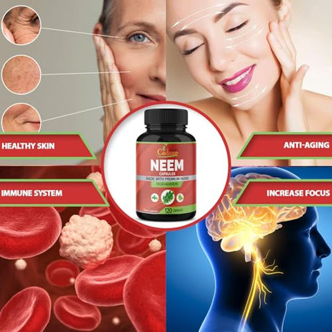 Organic Cadane - Suplemento de Folha de Neem Orgânico Cadane 2250 mg com Manjericão Sagrado Tulsi, Guduchi, 120 Cápsulas Vegetais | Suporta o Sistema Imunológico | Pó Puro Fresco de Folhas de Ervas