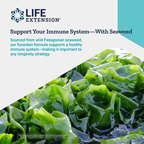 Optimized Fucoidan com Maritech 926 – Suplemento de Fucoidan – Wakame Selvagem Colhida do Oceano para Suporte à Saúde Imunológica – Não-OGM, Sem Glúten, Vegetariano – 60 cápsulas - Life Extension