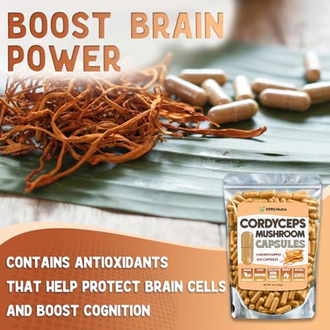 Cápsulas de Pó de Cogumelo Cordyceps – 360 Unidades (Fornecimento de 180 Dias) – Nossas Cápsulas Premium de Cogumelo Cordyceps Contêm Cogumelos Reais (Cordyceps Sinensis) para Apoiar - XPRS Nutra