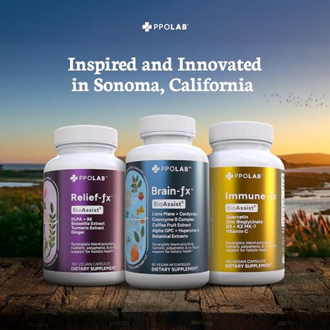 PPO Lab - BioAssist® Brain-fx: Energizante Nootrópico para Memória, Foco e Suporte Cerebral com Certificação Clean Certified® – Leão Mane, B12, Alpha GPC, Ginseng, L-Theanine, Complexo B, Fruta do Café, Cordyceps – 60 cápsulas