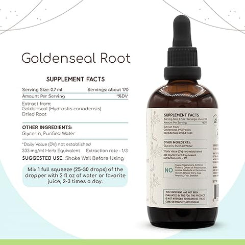 HerbEra - Goldenseal Root B120 (2 unidades) Extrato Herbal sem Álcool em Tintura, Goldenseal (Hydrastis Canadensis) Responsavelmente Cultivado, Raiz Seca Super Concentrada (2×120 ml)