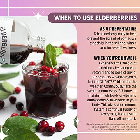 Seattle Elderberry - Kit DIY de Suporte Sazonal – Faça um Xarope Delicioso e Sem Glúten de Suplemento Herbal com Benefícios Potentes para Alergias, Contendo Apenas Ingredientes Orgânicos Feitos em Pequenos Lotes nos EUA – 120ml