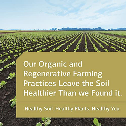 Standard Process Inc. - Standard Process Calcifood – Suporte à Absorção de Cálcio – Fortaleça os Ossos com Cálcio, Fósforo, Germe de Trigo Desengordurado, Cenoura Orgânica, Fruta de Tâmara, Mel e Mais – 100g