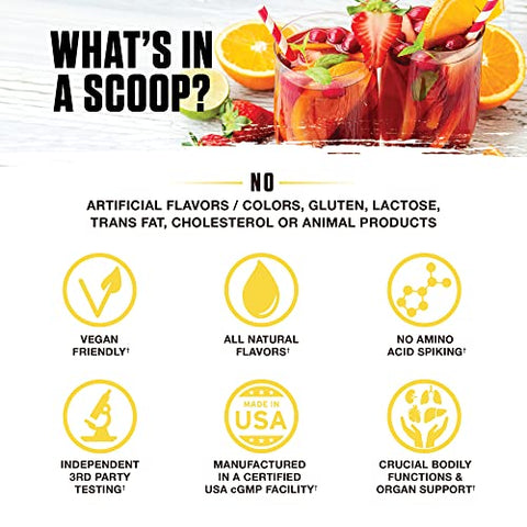 Nektar – Pó Superfood | Suplemento Completo para Saúde | 30 Porções (Sinfonia de Frutas) - Ambrosia
