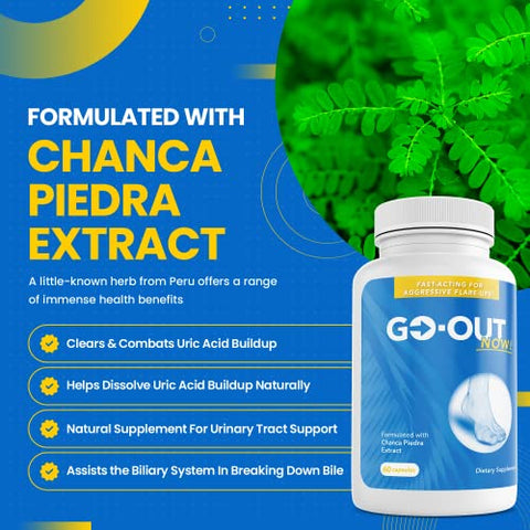 Mt. Angel Vitamins - Go-Out Now! – Chanca Piedra: Quebra Pedra Natural para Limpeza Renal – 100g