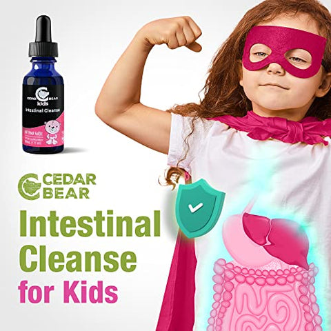 Cedar Bear Naturales - Cedar Bear – Limpeza Intestinal para Crianças, Suplemento Herbal Líquido para Desintoxicação e Limpeza Digestiva com Ervas Naturais, Gotas de Limpeza Intestinal sem Álcool para Crianças, 30 ml