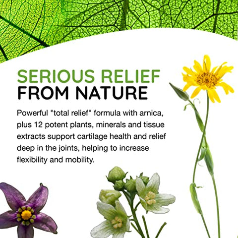 MediNatura - T-Relief Artrite Arnica 12 Medicamentos Naturais para Alívio da Dor Auxiliam no Alívio de Rigidez e Dores Musculares – Marca T-Relief