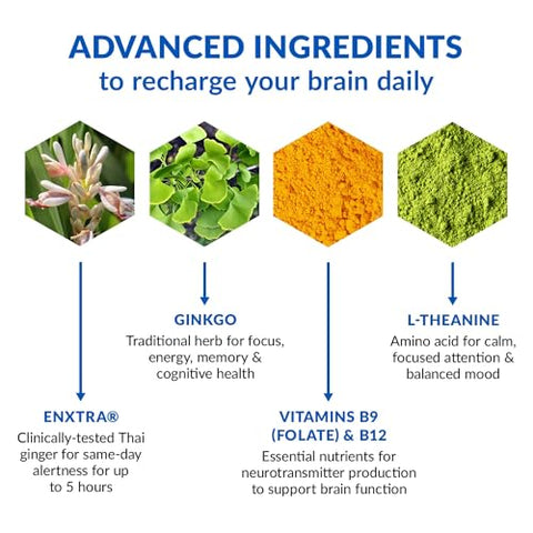 Brain Bright – Impulsionador Diário de Nootrópicos para Foco, Concentração, Clareza Mental – Suplemento de Suporte Cerebral Livre de Cafeína – Gengibre Tailandês, Ginkgo, Folate, 60 cápsulas de 500mg - BioTrust