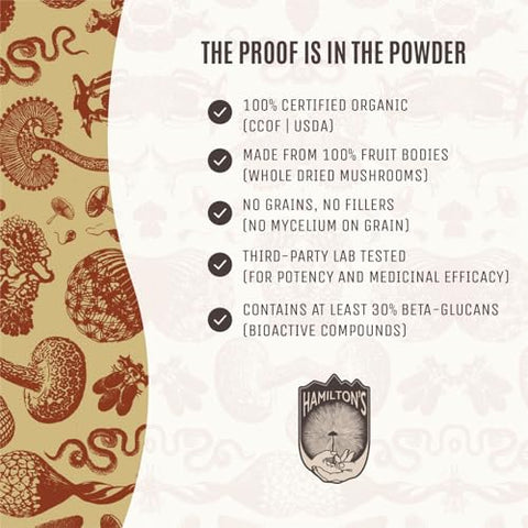 Hamilton's - Hamilton’s Body Blend | Pó de Extrato de Cogumelo Orgânico | Chaga, Cordyceps, Reishi, Turkey Tail | Suporte Imunológico, Resistência e Redução do Estresse | Alta Potência | 30% Beta Glucanos | GF | 100g