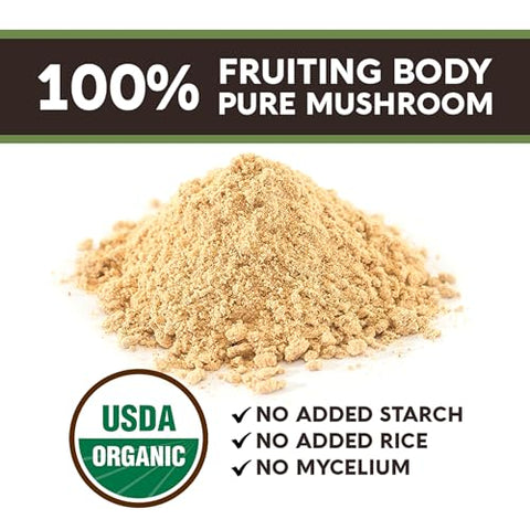 Pó de Cogumelo do Leão Orgânico – Concentrado Ultra de Cogumelo do Leão – Promove Clareza Mental, Foco e Memória – 100% Corpo Frutífero – 60g - Longevity Botanicals