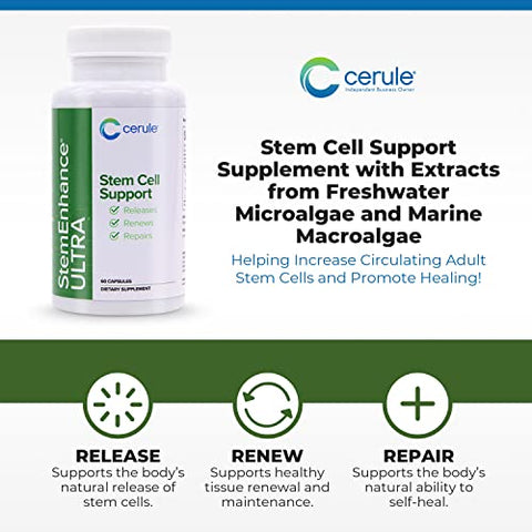 StemEnhance Ultra: Aumente Células-Tronco Adultas e Promova Saúde com Extratos de Microalgas de Água Doce e Macroalgas Marinhas – 100g - Cerule