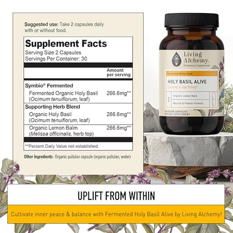 Fermentado de Manjericão Sagrado – 60g - Living Alchemy