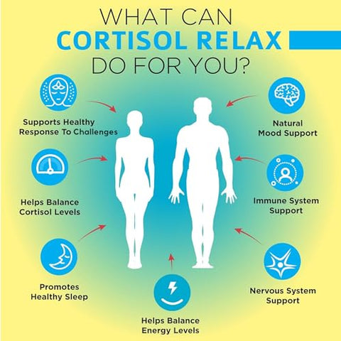 Ashwagandha: Suporte Natural ao Cortisol – 60 cápsulas de 500mg - OmniBiotics