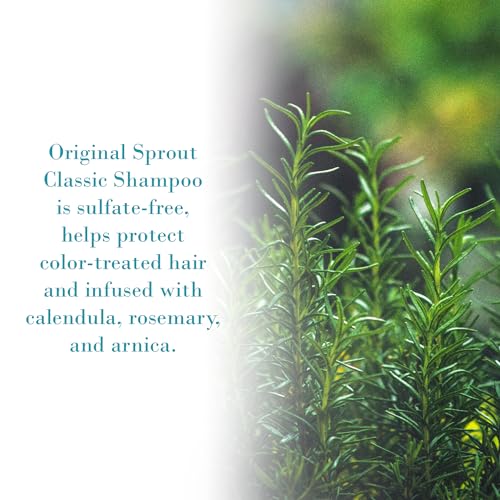 Shampoo Clássico para Todos os Tipos de Cabelo, Shampoo Vegano e Livre de Sulfato, 946 ml - Original Sprout