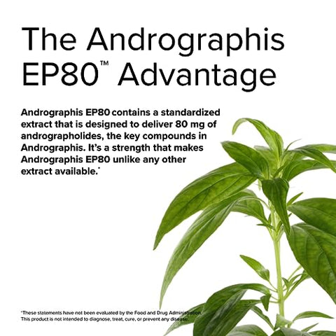 Andrographis EP80 Extra Strength – 60 Cápsulas – Suporte ao Fígado, Função Imunológica - Terry Naturally
