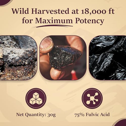 Apexir - Shilajit Puro Himalaia Orgânico 30g para Homens e Mulheres, 120 Porções – 75% Ácido Fúlvico