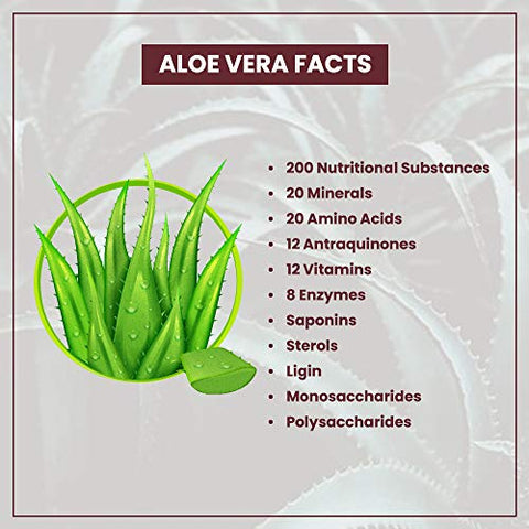 Forever Living Products - Forever Living – Kit de Limpeza Forever C9 Lite Ultra Vanilla com Gel de Aloe Vera, Proteína à Base de Plantas, Mistura Termogênica, Garcinia Cambogia – 100% Original