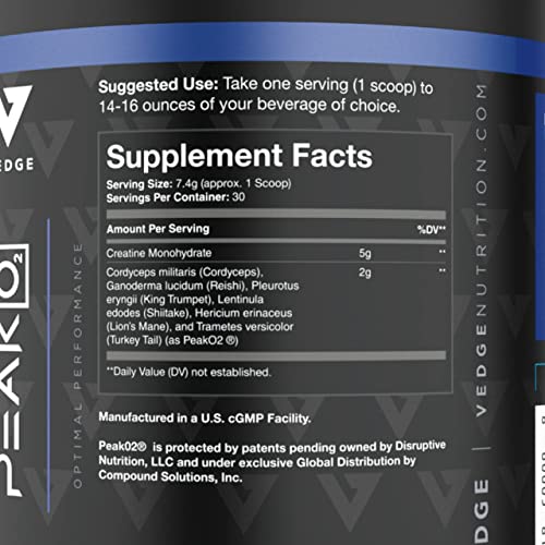 vedge - Vedge Nutrition Creatine em Pó | Creatina Vegana à Base de Plantas | Energia, Desempenho | 100% Natural | 300g