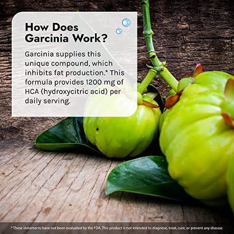 Garcinia Hca – Suplemento para Redução de Gordura, 90 Cápsulas - Irwin Naturals