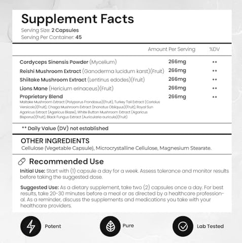 Complexo de 10 Cogumelos – Leão da Montanha, Reishi e Cordyceps | Potencialize sua saúde com o melhor suplemento de cogumelos - ACEWORKZ
