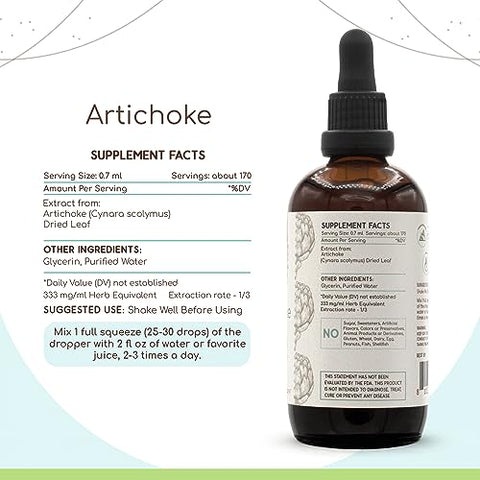 HerbEra - Artichoke B120 (2 unid.) Extrato Herbal Sem Álcool, Gotas Líquidas Concentradas Naturais de Alcachofra (Cynara scolymus) Folha Seca (2×120 ml)