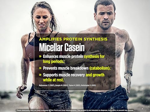 FINi Barra de Proteína-Energia – Adoçada com Performance Sweetener (12 Unidades, Chocolate) - Biotest