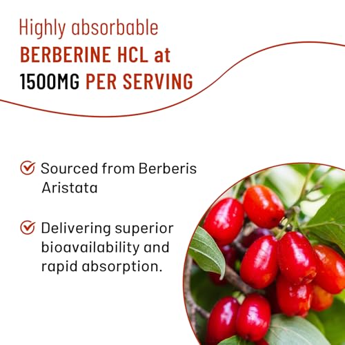 Vazatisi - Berberine Gummies 1500 mg – Canela Ceylon, Citrato de Magnésio, Cardo de Leite – Adultos e Crianças – Sabor de Frutas Vermelhas – 120 Cápsulas