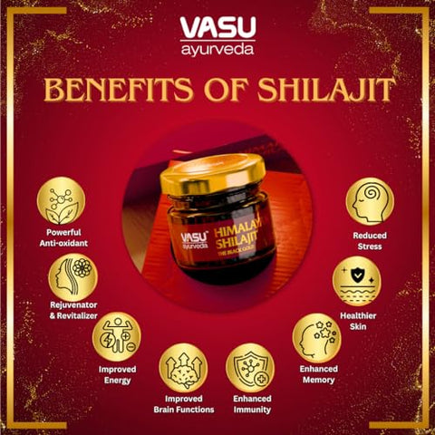 Ayurveda Shilajit Resina Himalaia Natural 100% Pura – Alta Potência, Testada em Laboratório – Forma Pura de Ácido Fúlvico – 100g - Vasu