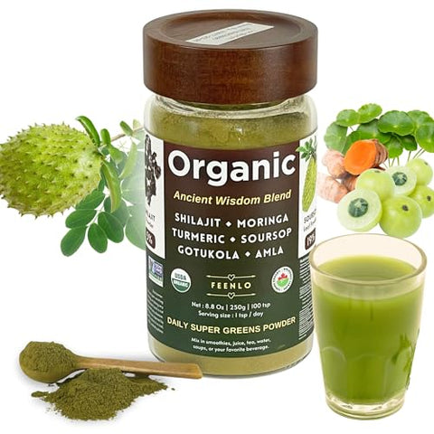Feenlo - Blend em Pó de Moringa, Shilajit, Cúrcuma, Graviola, Gotu Kola e Amla Orgânico e Não-OGM | Poder Verde Apresentado em Embalagem de 3 Meses