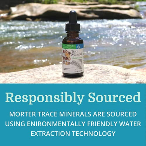 Minerais Traços em Suspensão Coloidal – Melhor Processo Alcalino – Elementos Traços Nutrientes, Minerais Fúlvicos – 100% Natural - Morter HealthSystem