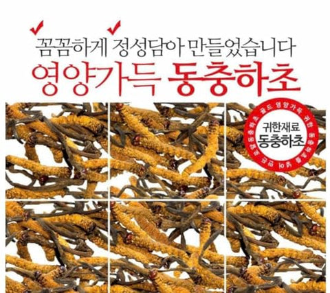 Generic - Sâm Đông Trùng Hoàn Kim Royal Vegetable Gold 20ml x 20 – Ouro Vegetal Real 20ml x 20g