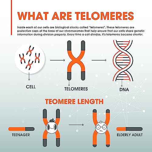 The Genius Brand - Genius Eternal – Cápsulas de Telômeros, Suplemento Anti-Envelhecimento – Ativador NRF2 NADH, Suporte de Células-Tronco para Longevidade, Energia Celular, Metabolismo – 60 Cápsulas