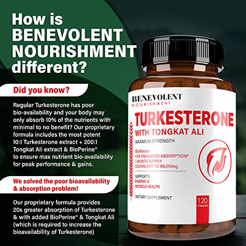 Benevolent Nourishment - Turkesterone 8,000mg – Alta Pureza – BioPerine® para Absorção Máxima – Suplemento com Tongkat Ali – Aumente a Resistência e o Crescimento Muscular Magro
