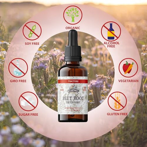 FLORIDA HERBS - Suplemento de Beterraba – Absorção Rápida Extra de Beterraba Líquida – Extrato Orgânico de Beterraba em Tintura, Livre de Glúten, 60 ml