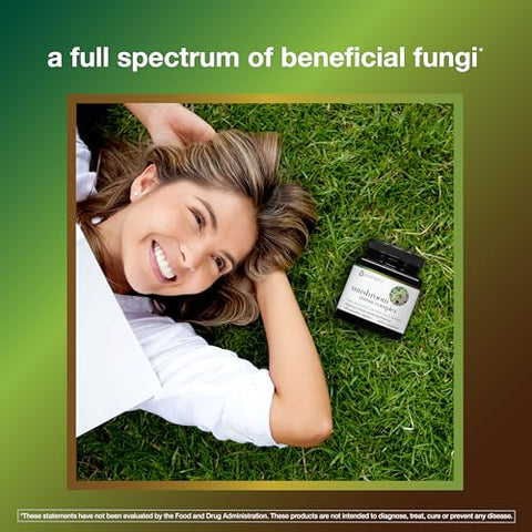 Mushroom Stress Complex – Cogumelo Orgânico de Espectro Completo com L-Teanina, Reduz o Estresse e Promove Calma Mental, 60 Cápsulas Vegetarianas - Youtheory