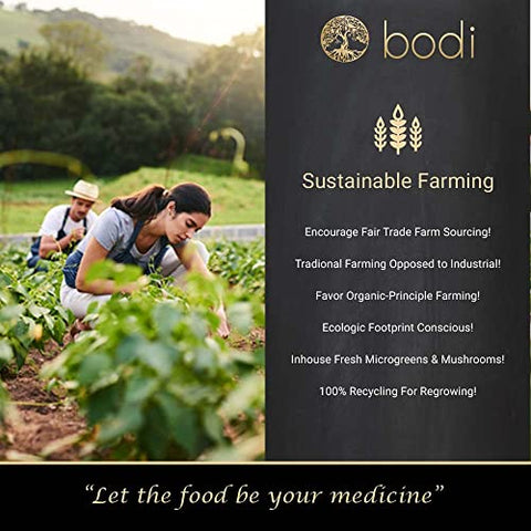 bodi - Extrato em Pó de Cogumelo do Leão 10:1 | 113g a 2268g | Natural Puro Livre de Químicos
