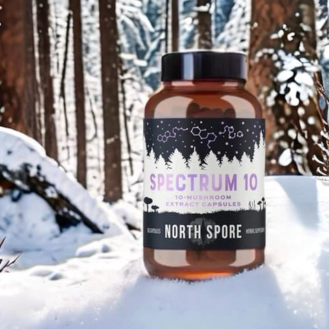 Organic Spectrum 10 – Cápsulas de Cogumelos de Alta Potência | Suplemento Cognitivo | Lion’s Mane, Chaga, Cordyceps, Reishi, Turkey Tail | 10 Cogumelos Medicinais | Energia, Saúde e Bem-Estar - North Spore