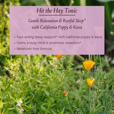 Hit The Hay – Suporte Rápido para Dormir com Papoula da Califórnia | 30ml - Urban Moonshine