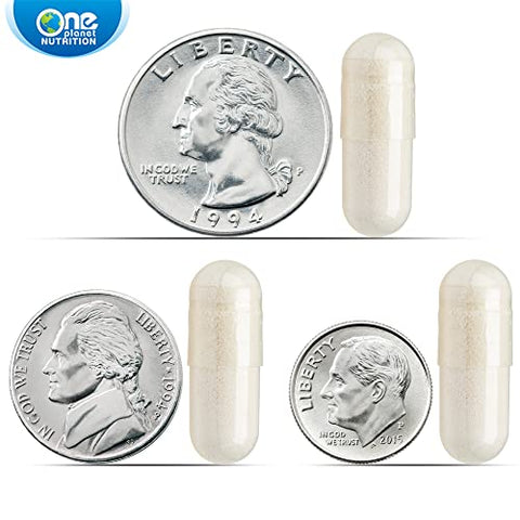 One Planet Nutrition - Nano Silymarin – Extrato de Sementes de Cardo Mariano para o Fígado, Extrato de Silymarin para Absorção | 100% Natural | 60 cápsulas | Marca Nano Silymarin