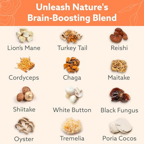 SIMPLEME - Suplemento de Cogumelos Multi-Mushroom – Complexo para Cérebro, Suporte Imunológico, Nootrópicos – Mistura de Desempenho com Lion’s Mane, Turkey Tail, Reishi, Cordyceps, Chaga, Maitake, Shiitake e Mais